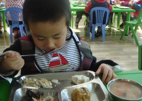 娱乐吃瓜酱幼儿园,揭秘童趣世界里的欢乐与成长