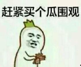 娱乐吃瓜酱知识怎么就进脑子里了,知识如何悄然植入脑海